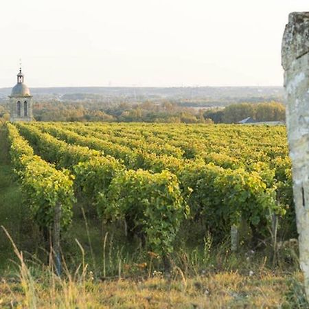 Apartmán Studio Au Coeur Des Vignes Montlouis-sur-Loire Exteriér fotografie