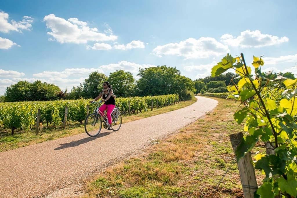 Apartmán Studio Au Coeur Des Vignes Montlouis-sur-Loire Exteriér fotografie