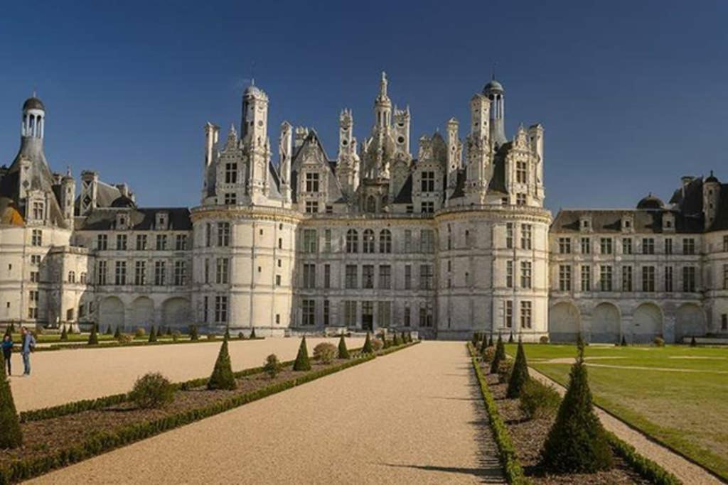 Apartmán Studio Au Coeur Des Vignes Montlouis-sur-Loire Exteriér fotografie